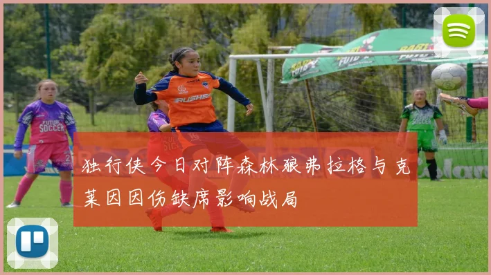独行侠今日对阵森林狼弗拉格与克莱因因伤缺席影响战局