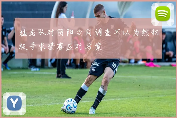 猛龙队对阴阳合同调查不以为然积极寻求禁赛应对方案